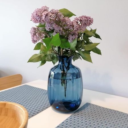 אוסטריצקי דולנה Apartament Gromadzyn 39 מראה חיצוני תמונה