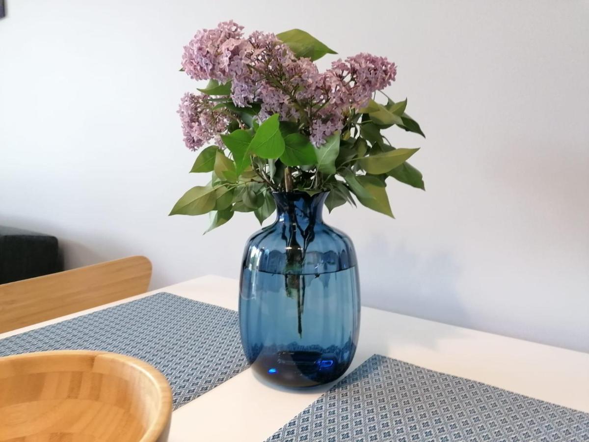 אוסטריצקי דולנה Apartament Gromadzyn 39 מראה חיצוני תמונה